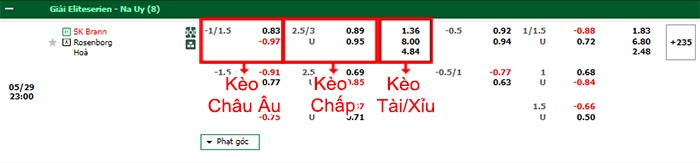 bảng kèo trận đấu Brann vs Rosenborg