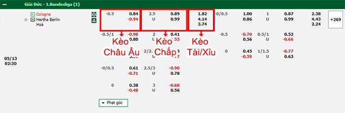 bảng kèo trận đấu Cologne vs Hertha Berlin