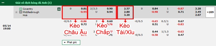 bảng kèo trận đấu Coventry vs Middlesbrough