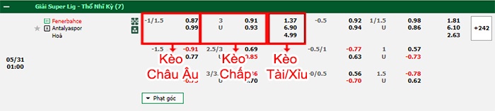 bảng kèo trận đấu Fenerbahce vs Antalyaspor