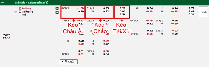 bảng kèo trận đấu Freiburg vs Wolfsburg