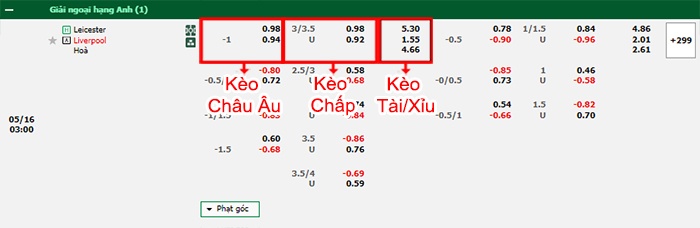 bảng kèo trận đấu Leicester vs Liverpool