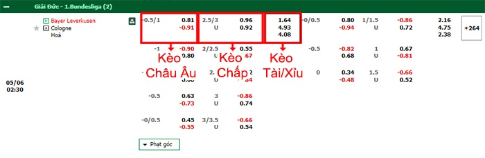 bảng kèo trận đấu Leverkusen vs Cologne