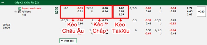 bảng kèo trận đấu Leverkusen vs Roma
