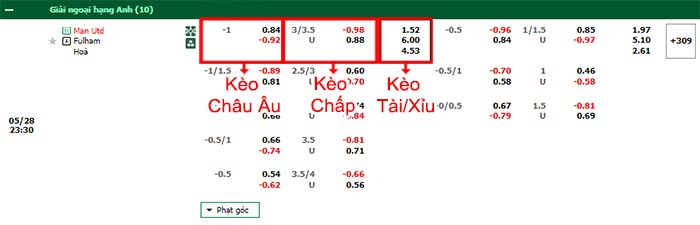 bảng kèo trận đấu MU vs Fulham