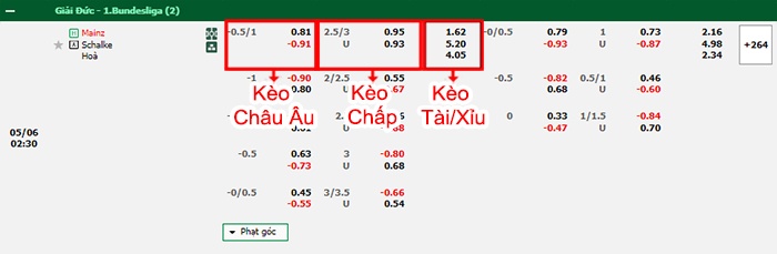 bảng kèo trận đấu Mainz vs Schalke
