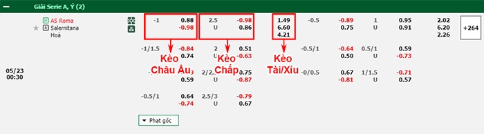bảng kèo trận đấu Roma vs Salernitana