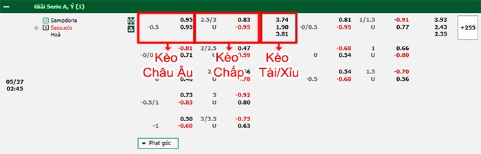 bảng kèo trận đấu Sampdoria vs Sassuolo