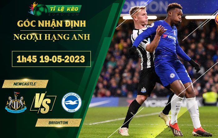 soi kèo Newcastle vs Brighton