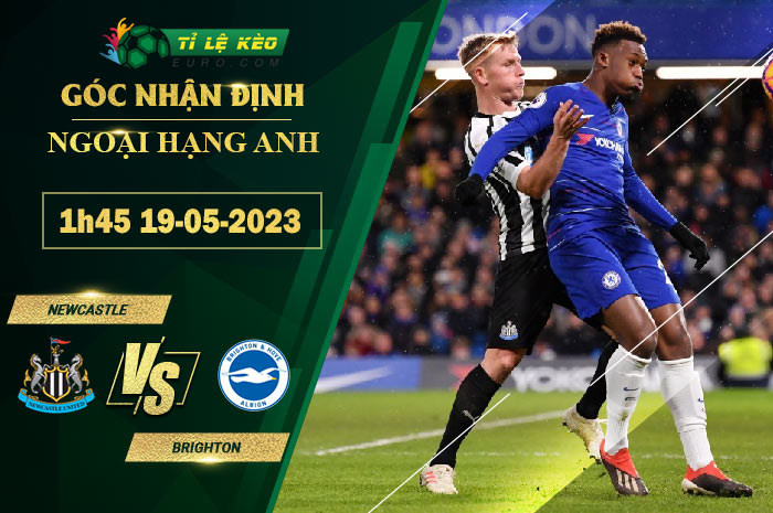 soi kèo Newcastle vs Brighton