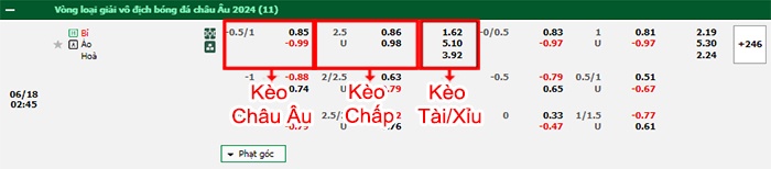 bảng kèo trận đấu Bỉ vs Áo