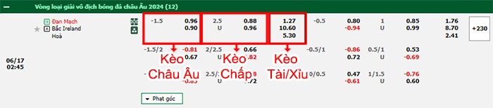 bảng kèo trận đấu Đan Mạch vs Bắc Ireland