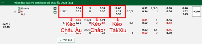 bảng kèo trận đấu Estonia vs Bỉ