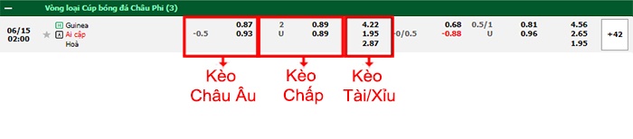 bảng kèo trận đấu Guinea vs Ai Cập
