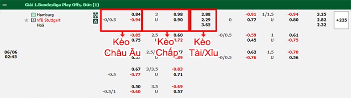 bảng kèo trận đấu Hamburg vs Stuttgart