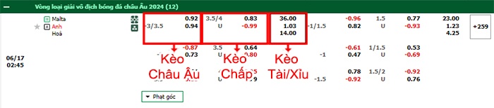 bảng kèo trận đấu Malta vs Anh
