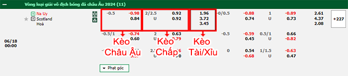 bảng kèo trận đấu Na Uy vs Scotland