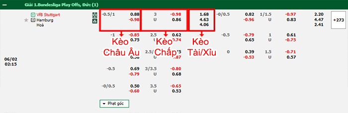 bảng kèo trận đấu Stuttgart vs Hamburger