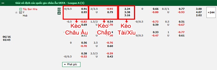 bảng kèo trận đấu Tây Ban Nha vs Italia