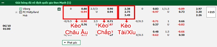 bảng kèo trận đấu Viborg vs Midtjylland