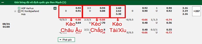 bảng kèo trận đấu Aarhus vs Nordsjaelland