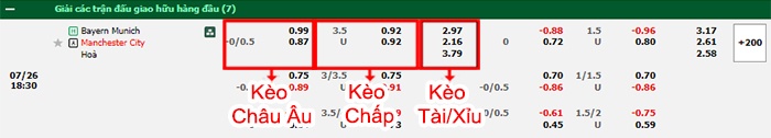 bảng kèo trận đấu Bayern Munich vs Man City