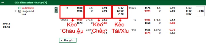 bảng kèo trận đấu Bodo Glimt vs Haugesund