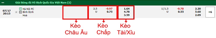 bảng kèo trận đấu Hà Nội vs Bình Định