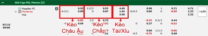 bảng kèo trận đấu Mazatlan vs Monterrey