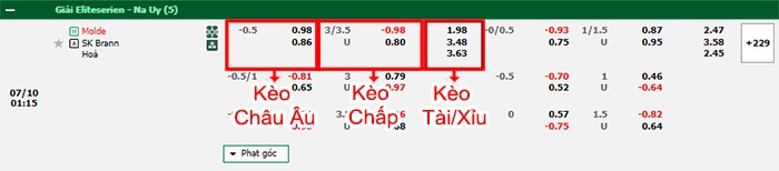 bảng kèo trận đấu Molde vs Brann