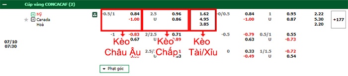bảng kèo trận đấu Mỹ vs Canada