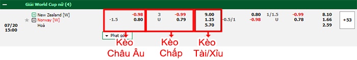 bảng kèo trận đấu Nữ New Zealand vs Nữ Na Uy