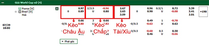 bảng kèo trận đấu Nữ Pháp vs Nữ Brazil