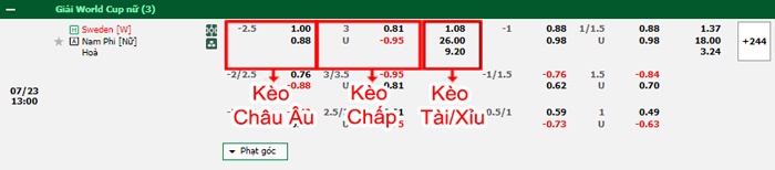 bảng kèo trận đấu Nữ Thụy Điển vs Nữ Nam Phi