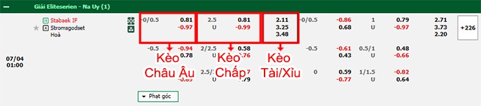 bảng kèo trận đấu Stabaek vs Stromsgodset