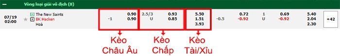 bảng kèo trận đấu The New Saints vs Hacken