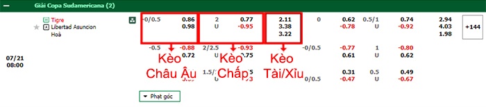 bảng kèo trận đấu Tigre vs Club Libertad