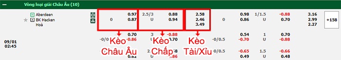 bảng kèo trận đấu Aberdeen vs Hacken