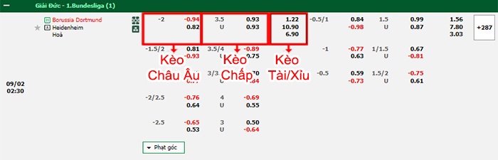 bảng kèo trận đấu Dortmund vs Heidenheim