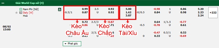 bảng kèo trận đấu Nữ Nam Phi vs Nữ Italia