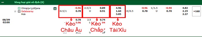 bảng kèo trận đấu Olimpija Ljubljana vs Galatasaray