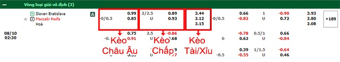 bảng kèo trận đấu nữ Slovan Bratislava vs Maccabi Haifa