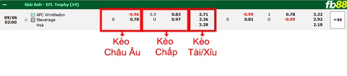 bảng kèo trận đấu AFC Wimbledon vs Stevenage