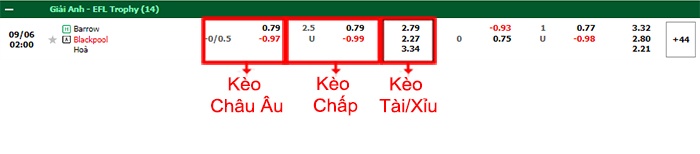 bảng kèo trận đấu Barrow vs Blackpool