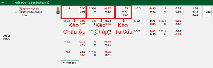 bảng kèo trận đấu Bayern Munich vs Leverkusen