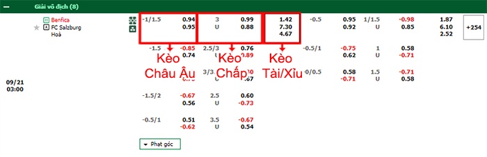 bảng kèo trận đấu Benfica vs RB Salzburg