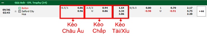 bảng kèo trận đấu Bolton vs Salford City