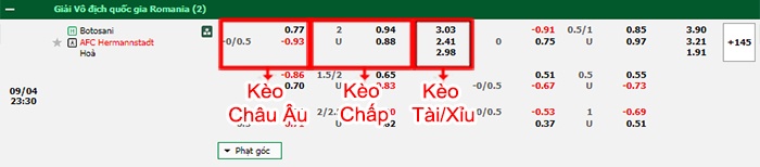 bảng kèo trận đấu Botosani vs Hermannstadt