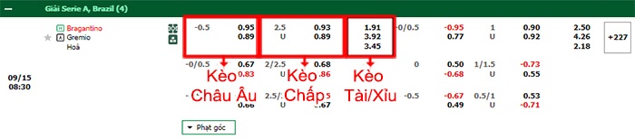 bảng kèo trận đấu RB Bragantino vs Gremio
