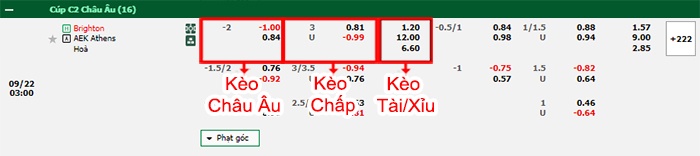 bảng kèo trận đấu Brighton vs AEK Athens